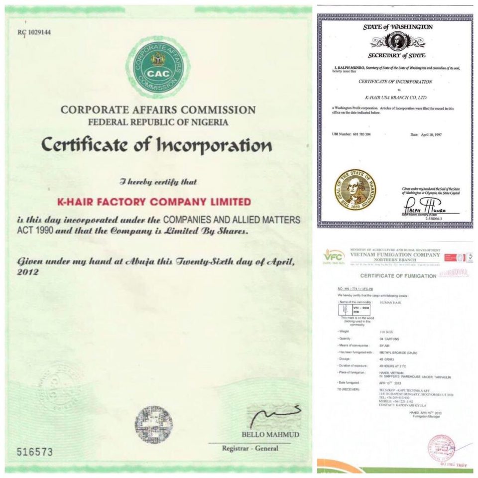 Hair Business Market in the world 2020- Expert View 15 K-Hair-Certificate