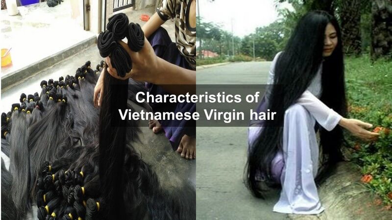 Vietnam Virrgin hair