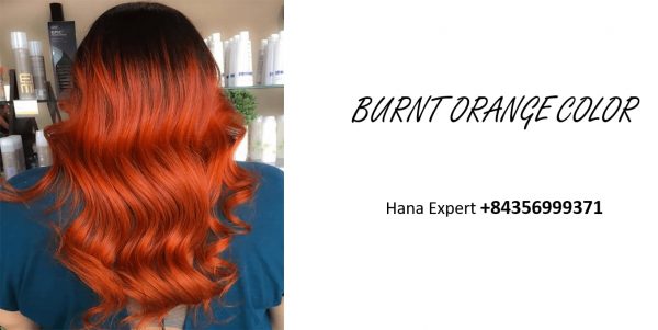 Wig and hair extension