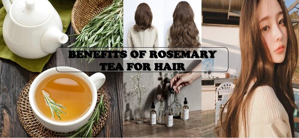 Rosemary Tea For Hair - Best Recipes For Shiny Hair From Europe 14 Rosemary-tea-for-hair_4
