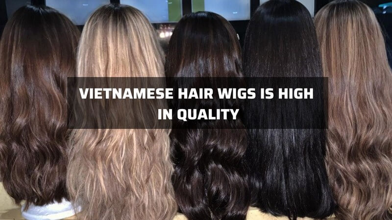 Vietnamese Hair Wigs And Best Knowledge That You Should Know 14 Vietnamese-hair-wigs_3