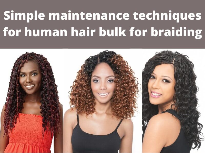 Best Human Hair Bulk For Braiding For You 20 human-hair-bulk-for-braiding_9